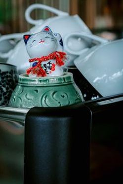 cá cược bóng đá nên cược bao nhiêu